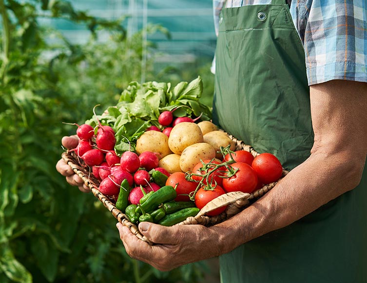 Organic Gardens