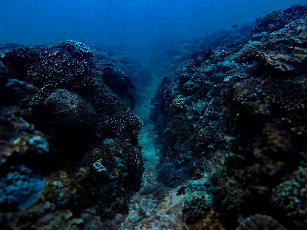 rinjani bay (14)