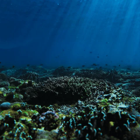 rinjani bay (6)