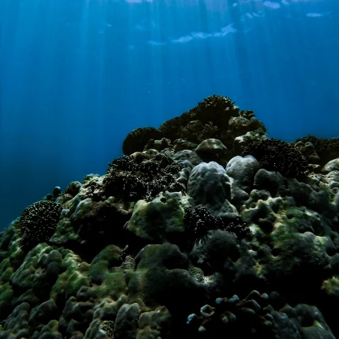 rinjani bay (7)