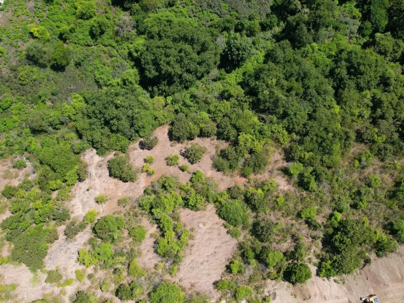 BC6 Bird's eye view_46