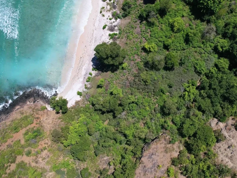 BV2 Bird's eye view_8