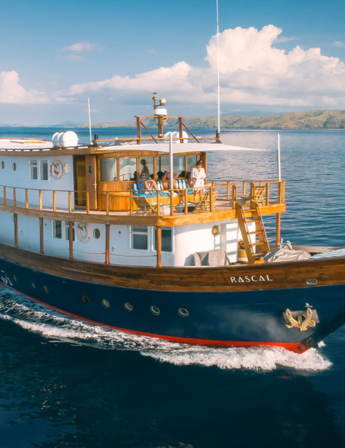 Rascal Voyages Rogue
