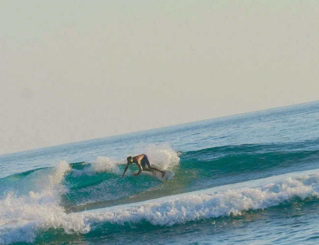 surfing