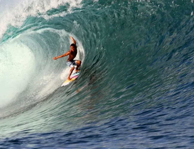 Surf