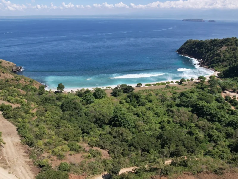 Treetop Plots Rinjani Bay (1)
