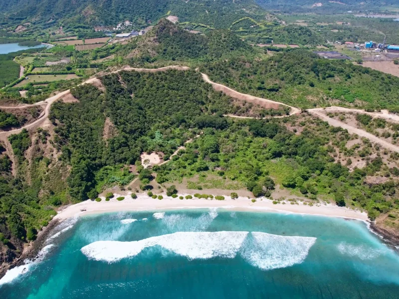 Treetop Plots Rinjani Bay (2)