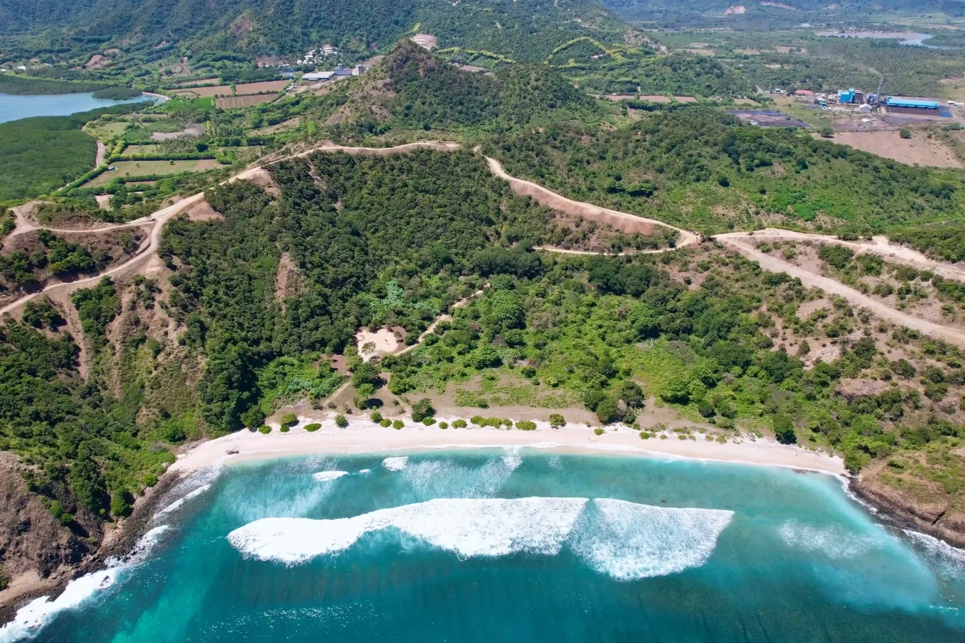 Treetop Plots Rinjani Bay (2)