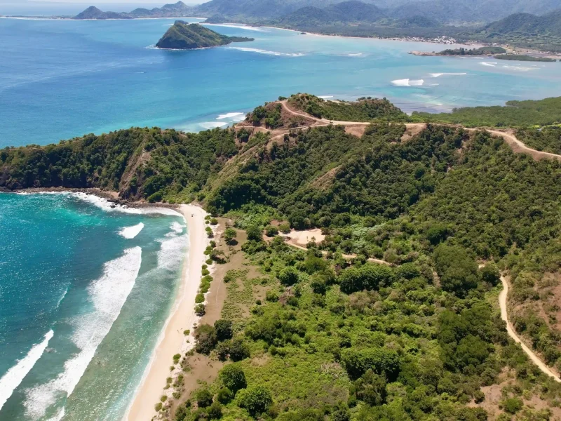 Treetop Plots Rinjani Bay (5)