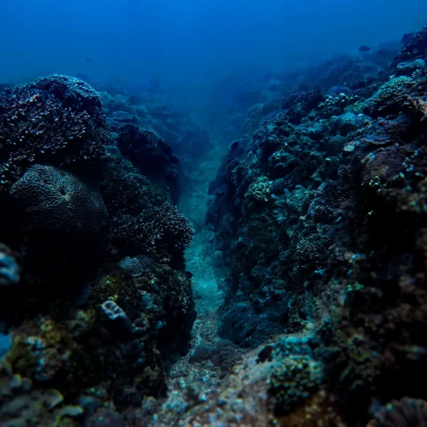 rinjani bay (14)