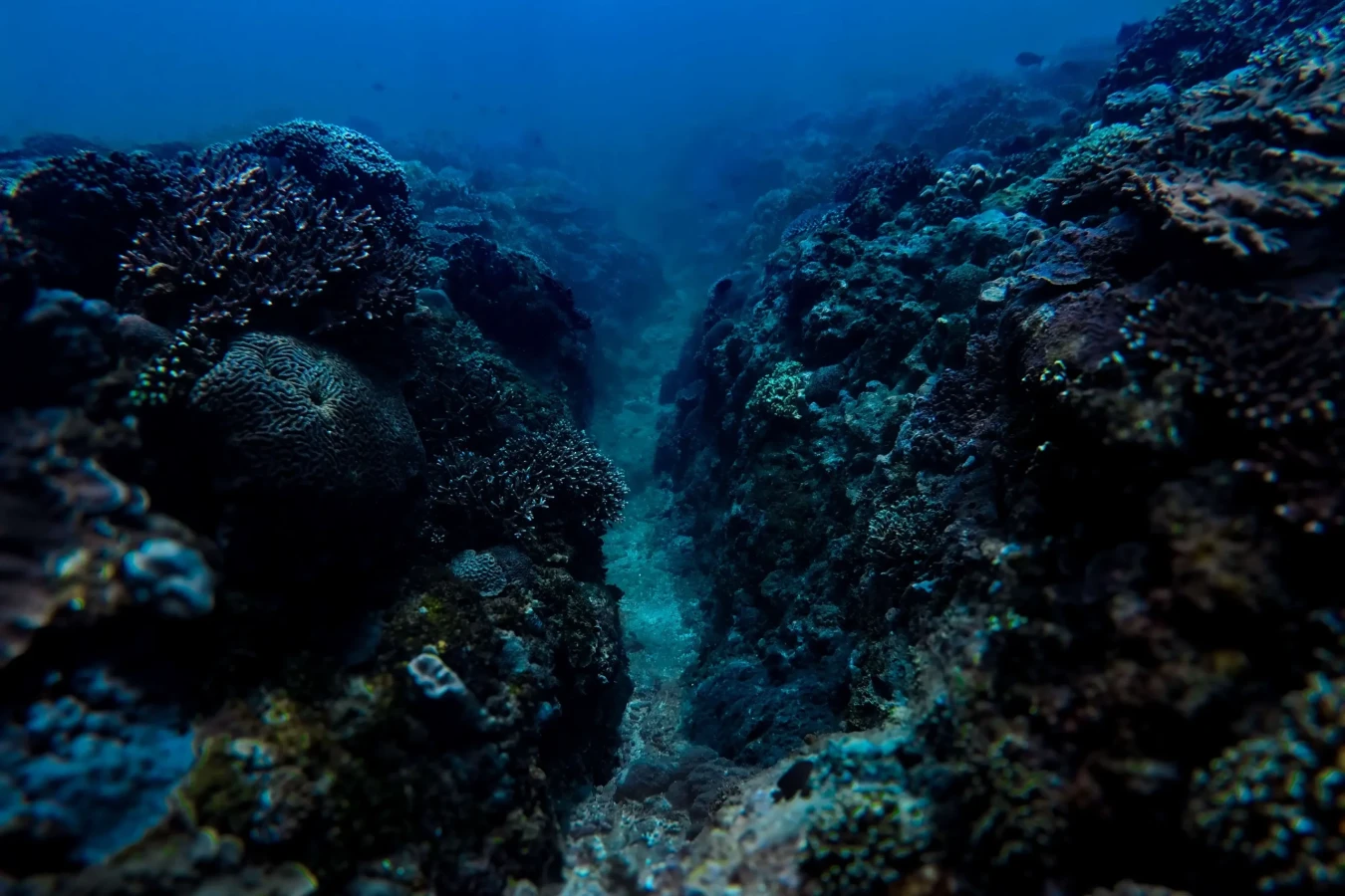 rinjani bay (14)