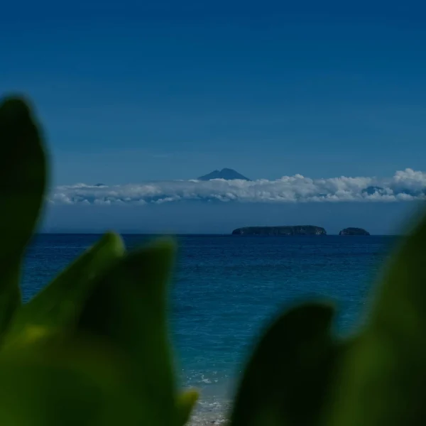 rinjani bay (21)