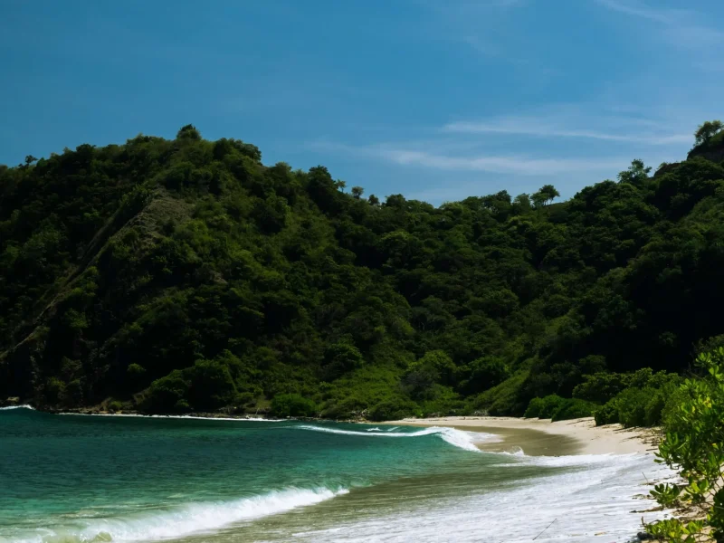 rinjani bay (22)