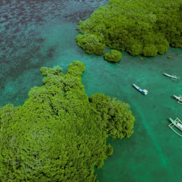 rinjani bay (25)